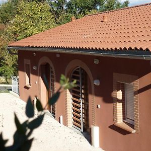 Appartement Supérieur à 1 Chambre à Coucher